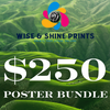 $250 POSTER BUNDLE