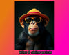 Boss Chimp