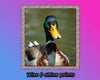 Daffy Duck