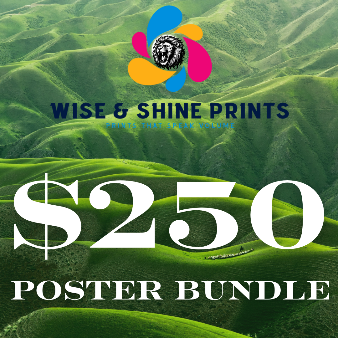 $250 Poster BUNDLE