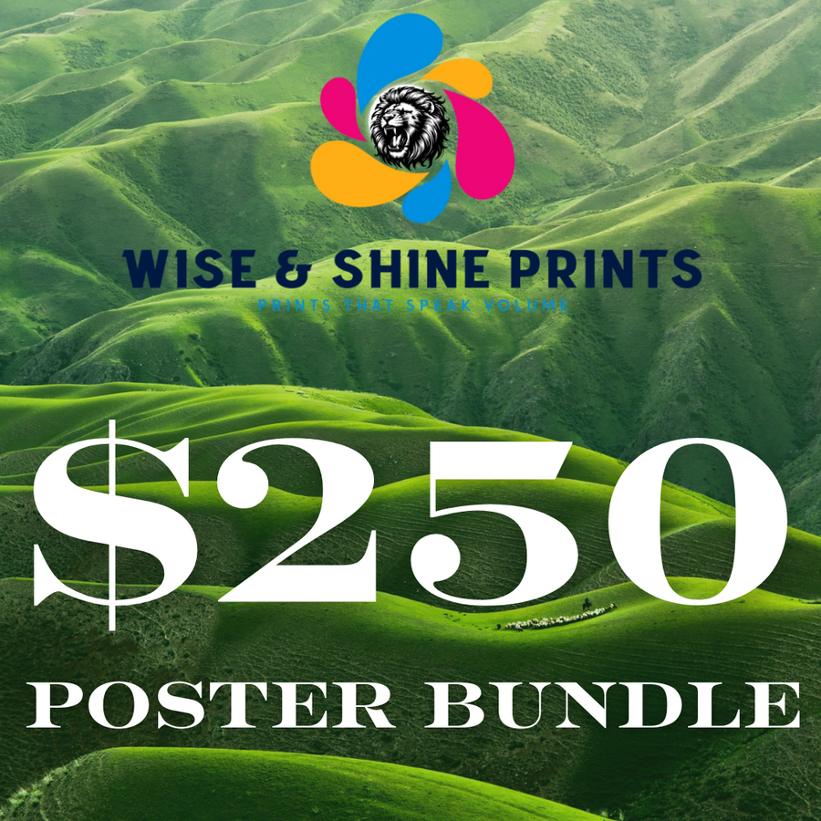 $250 Poster BUNDLE